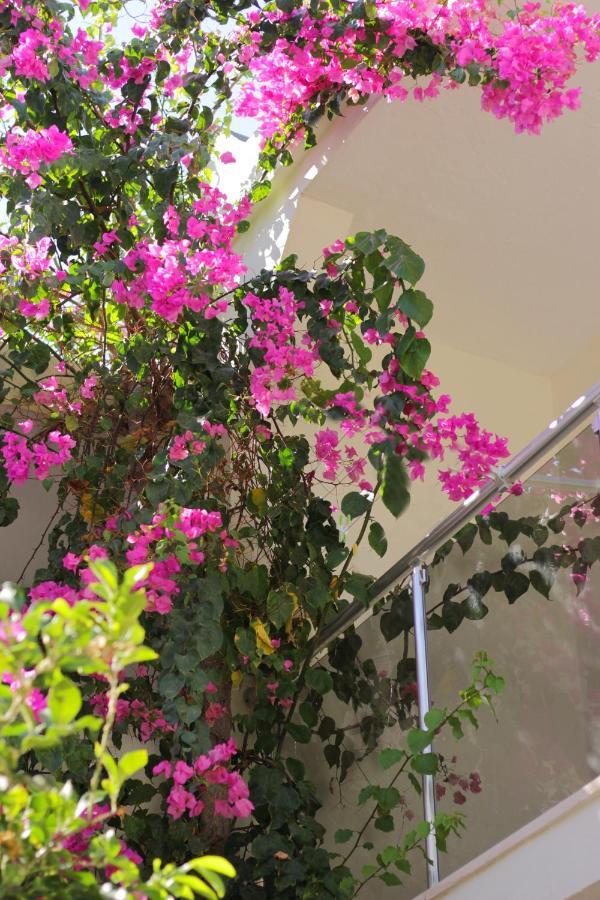 Acelya Otel Bodrum Exteriér fotografie